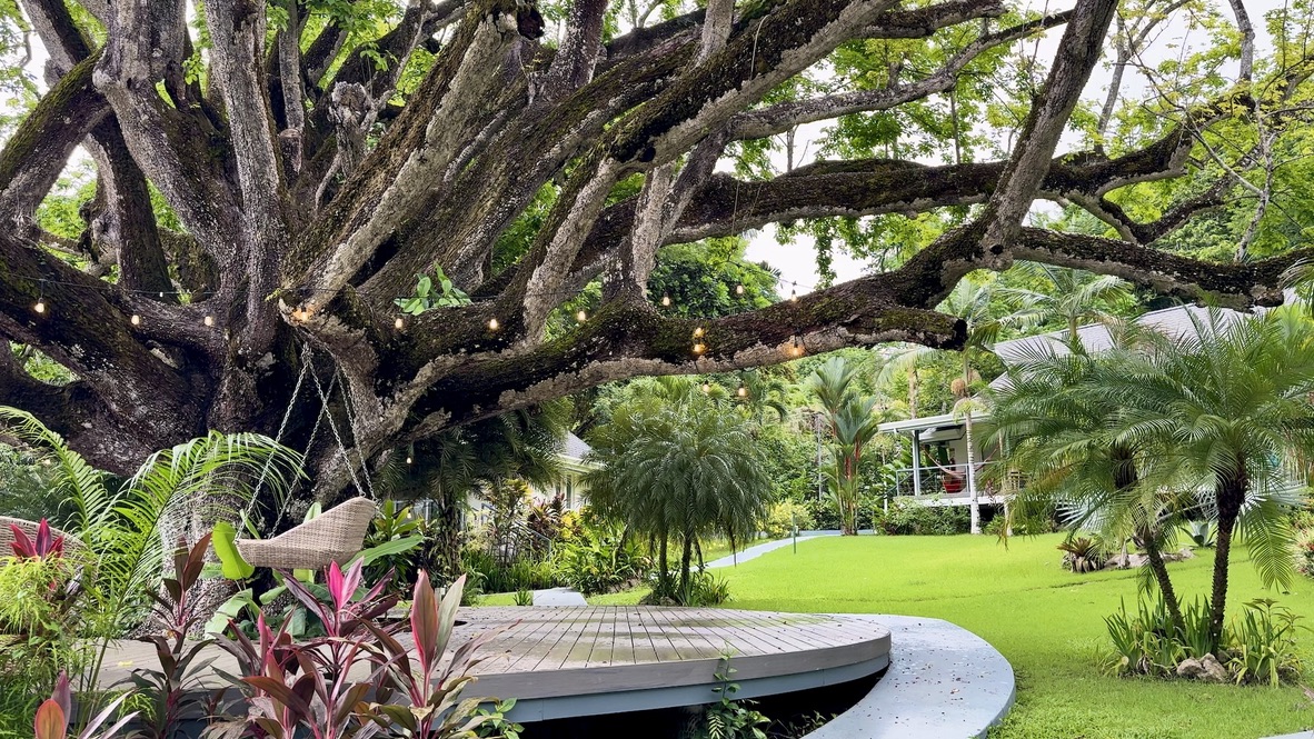 A round wooden deck and hanging swing chair beneath the spreading branches of an old tree strung with lights, set in a tropical garden