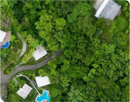 An aerial view of pale rooftops set into dense rainforest canopy