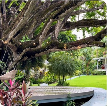 A quiet garden deck beneath the branches of an old tree
