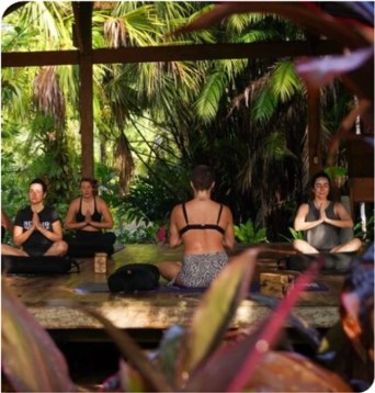 A small group sitting in meditation in an open-air shala surrounded by tropical planting